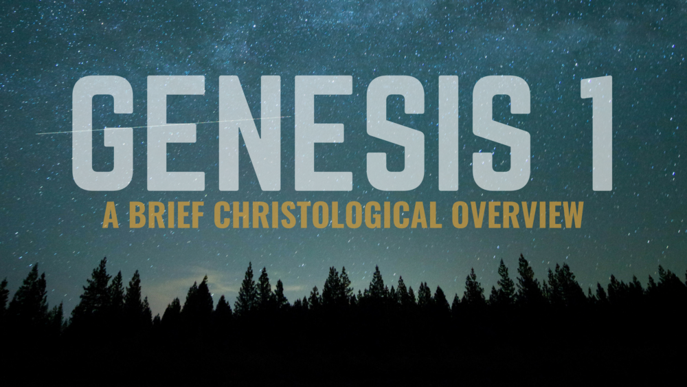 THROUGH THE BIBLE: Genesis 1 - Creator/creature distinction and the purpose of the world Image