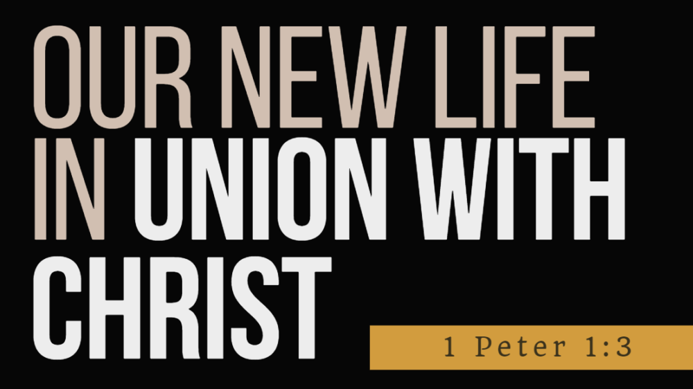 SERMON: Our new life in union with Christ - 1 Peter 1.3 Image