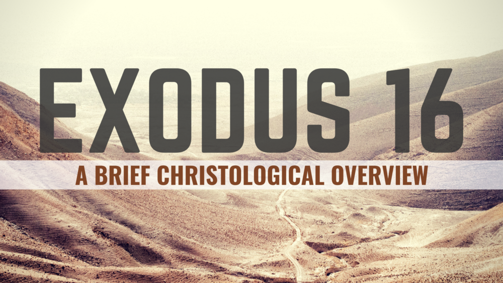 THROUGH THE BIBLE - Exodus 16 : Bread from Heaven Image