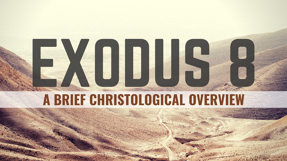 THROUGH THE BIBLE - Exodus 8 : The three plagues of frogs, gnats and flies Image
