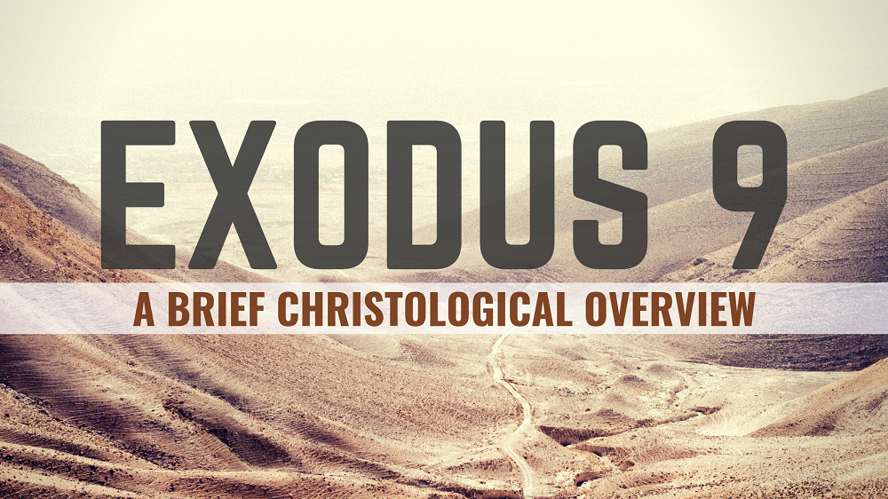 THROUGH THE BIBLE - Exodus 9 : The three plagues of death upon the livestock, boils and hail Image