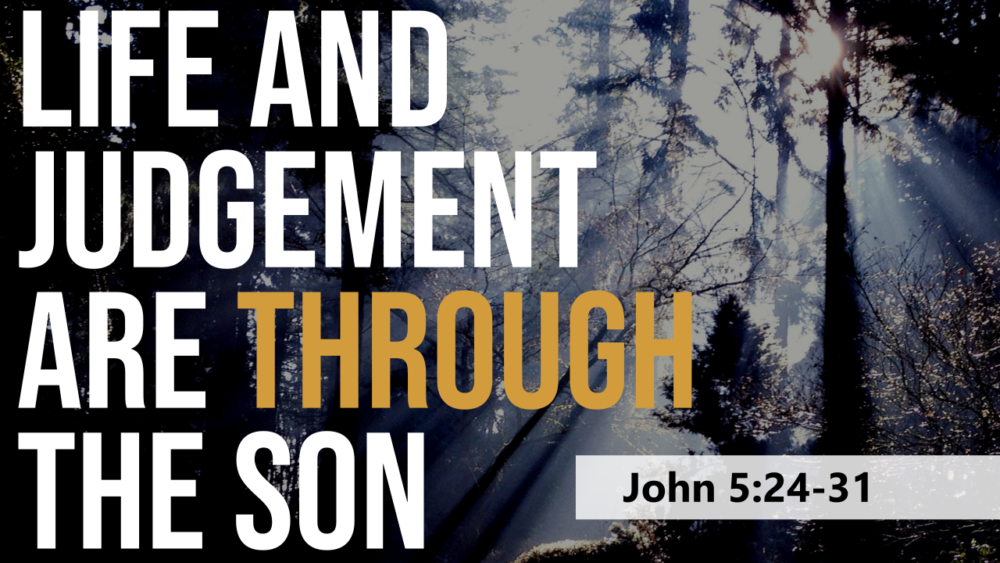 SERMON: Life and judgement are through the Son - John 5:24-31 Image