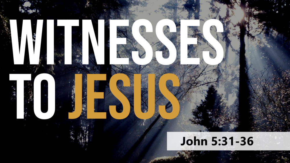 SERMON: Witnesses to Jesus - John 5:31-36