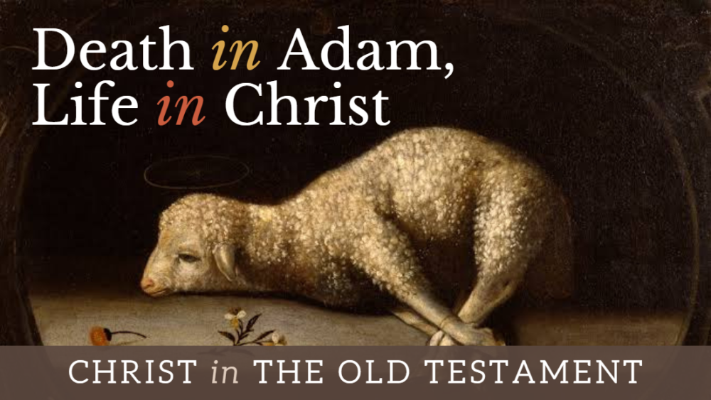 BIBLE STUDY: Christ in the OT - Death in Adam, Life in Christ Image