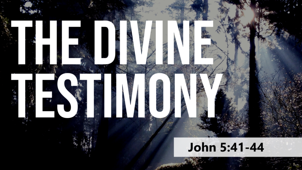 SERMON: The Divine Testimony - John 5:41-44 Image