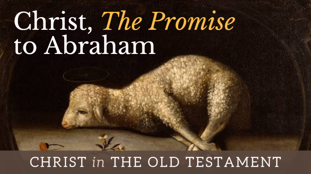 BIBLE STUDY: Christ in the OT - Christ, The Promise to Abraham