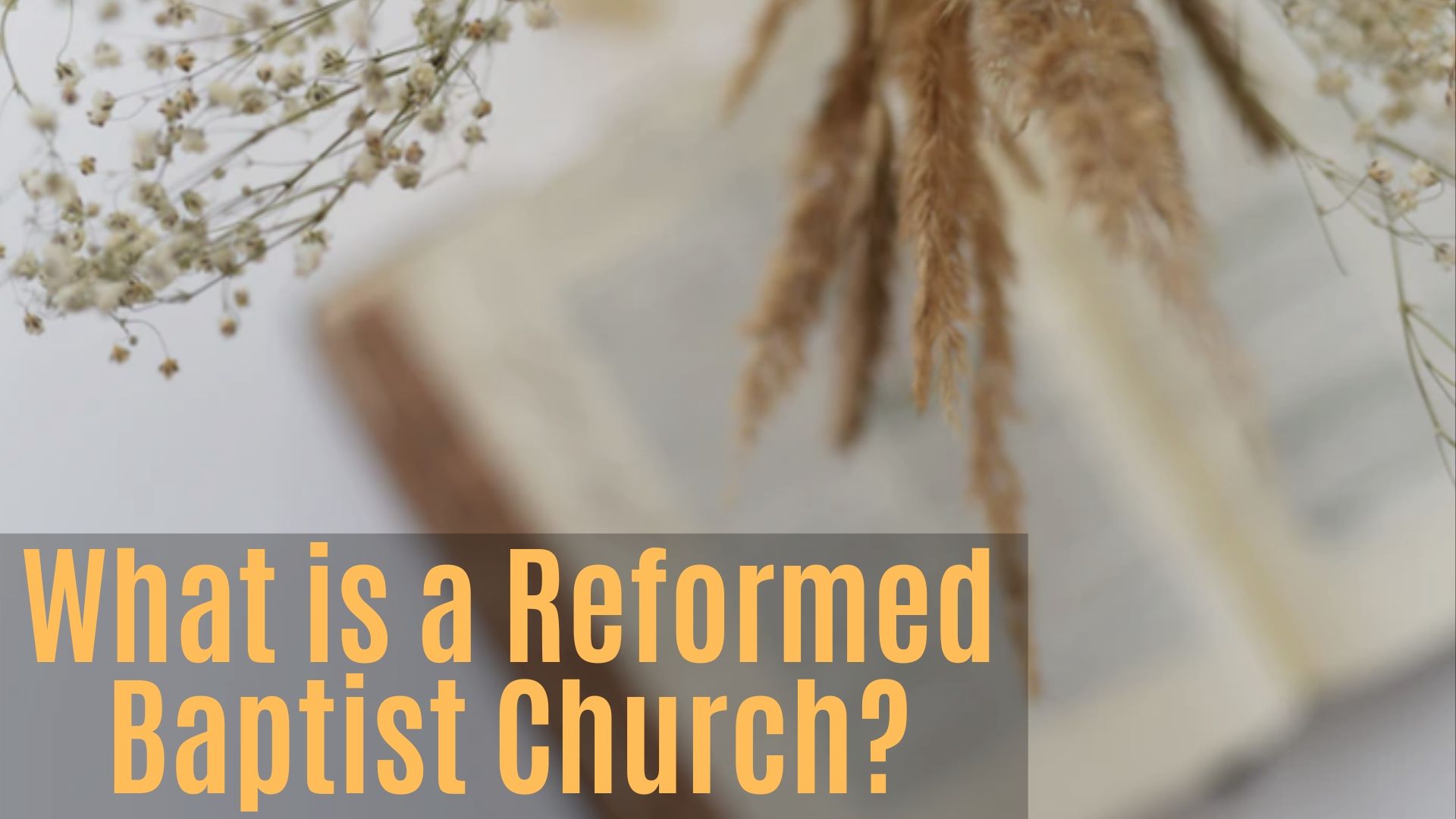 What Is A Reformed Baptist Church | Cornerstone Reformed Baptist Church