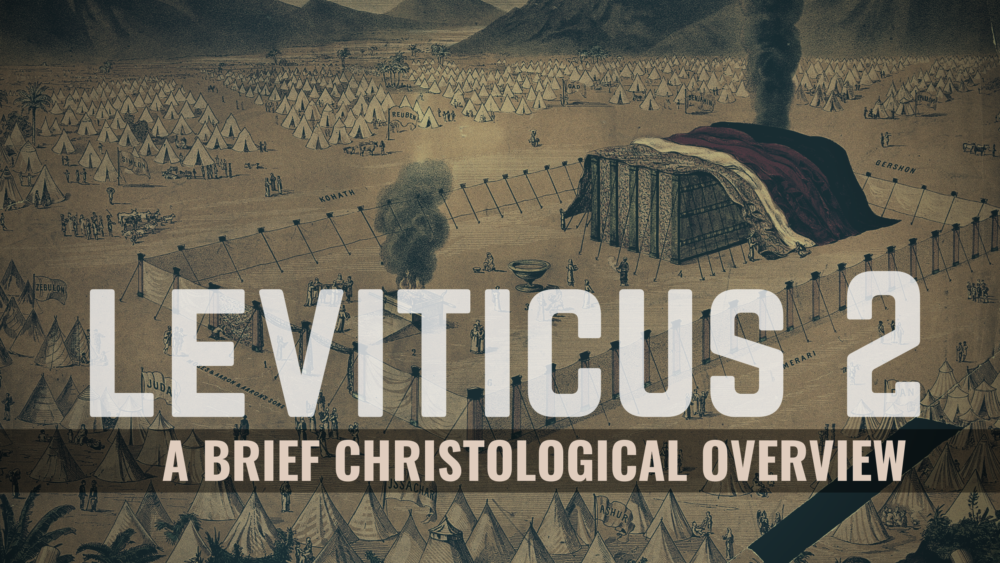THROUGH THE BIBLE - Leviticus 2 : The Grain Offering