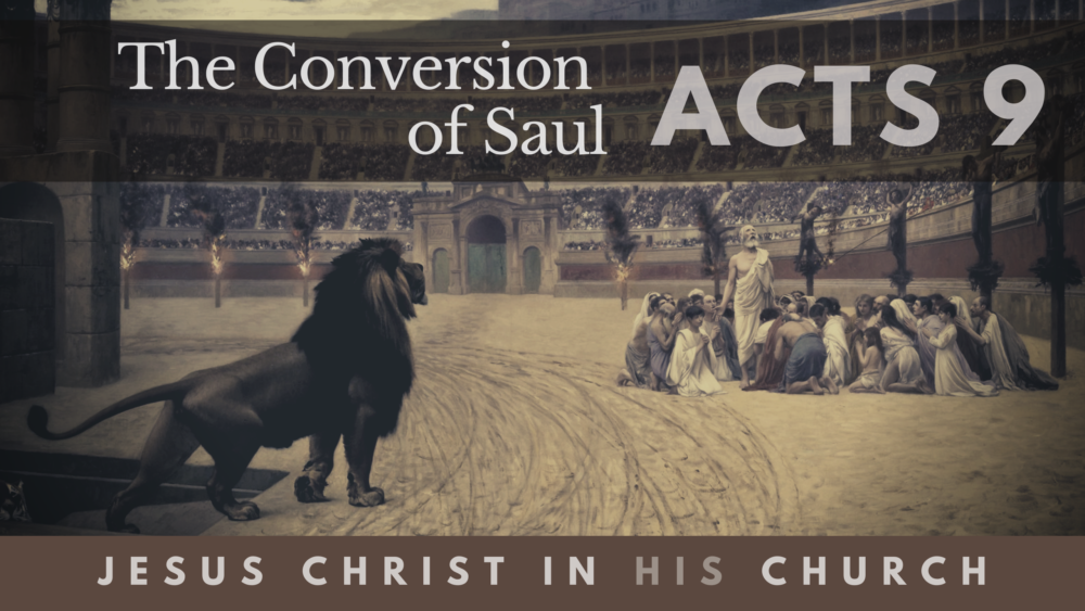 BIBLE STUDY: Jesus Christ in His Church - The Conversion of Saul Image