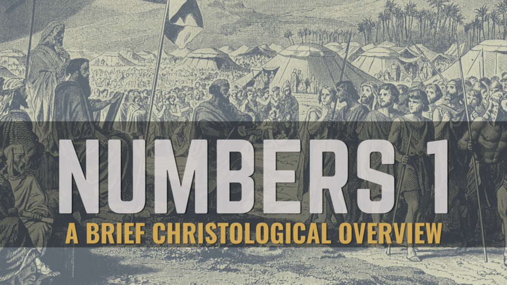 THROUGH THE BIBLE - Numbers 1 : A Census of Israel's Warriors Image
