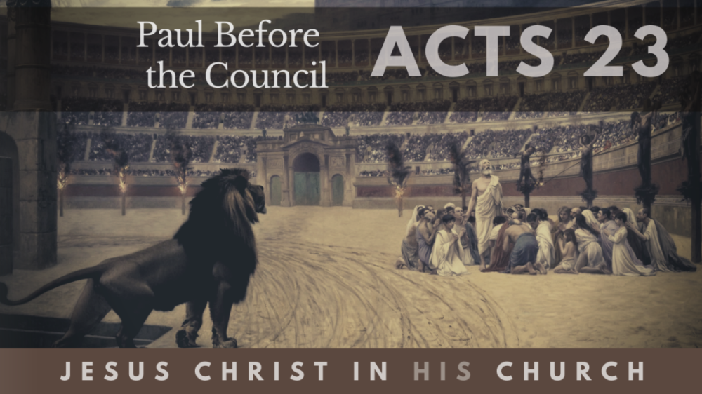 BIBLE STUDY: Jesus in His Church - Paul Before the Council Image