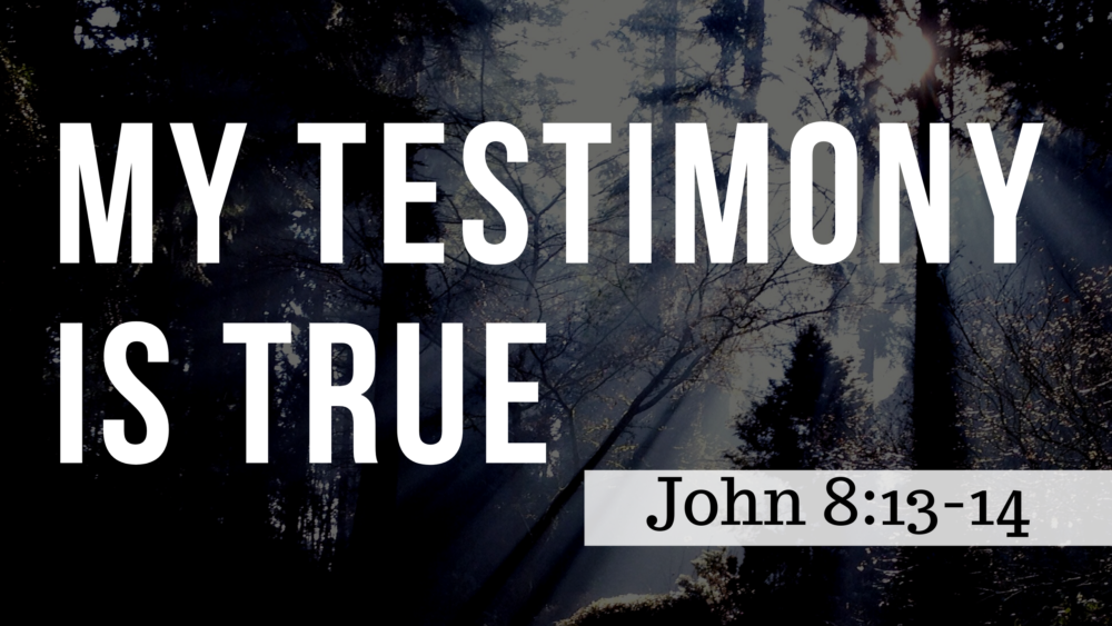 SERMON: My Testimony is True - John 8:13-14 Image