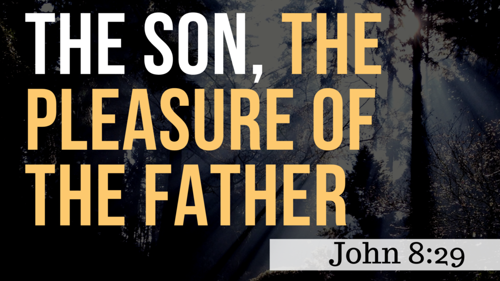 SERMON: The Son, the Pleasure of the Father - John 8:29 Image