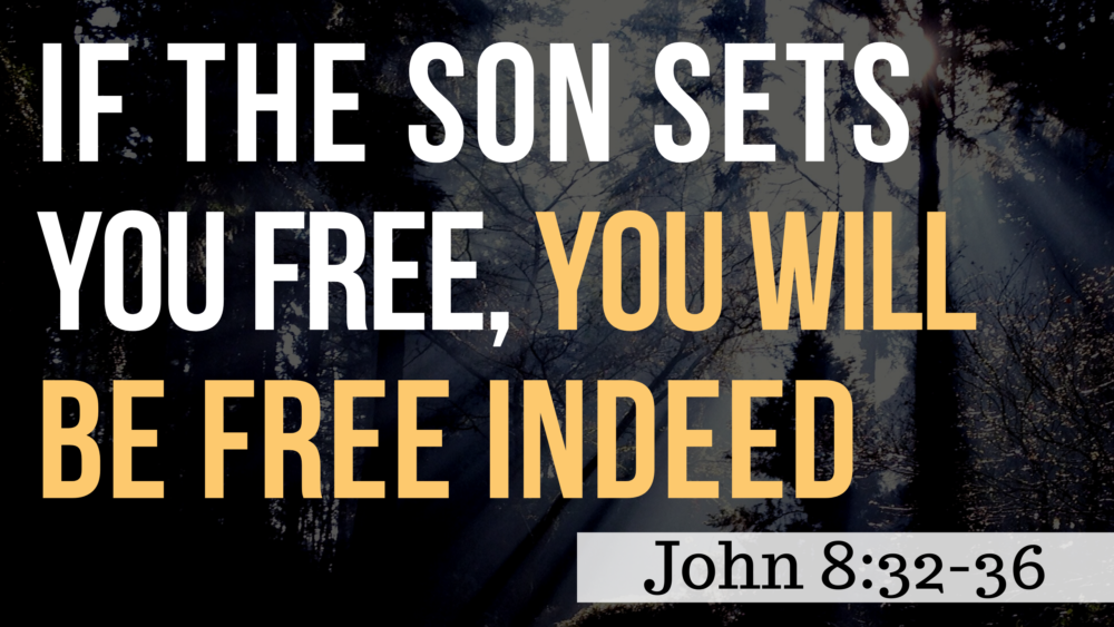 SERMON: If the Son Sets You Free, You Will Be Free Indeed - John 8:32-36 Image
