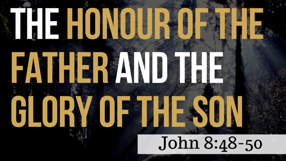 SERMON: The Honour of the Father and the Glory of the Son - John 8:48-50 Image