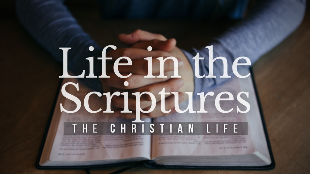 BIBLE STUDY: The Christian life - Life In The Scriptures Image