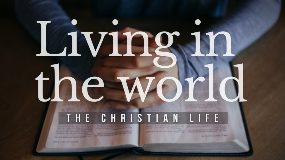 BIBLE STUDY: The Christian life - Living in the World  Image