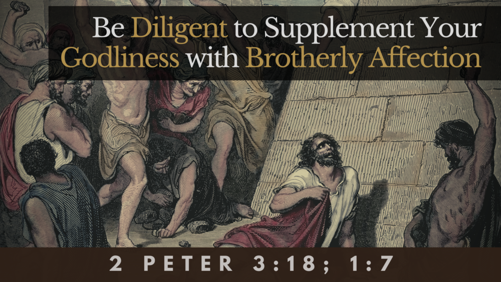 SERMON: Be Diligent to Supplement Your Godliness with Brotherly Affection - 2 Peter 3:18, 1:7 Image