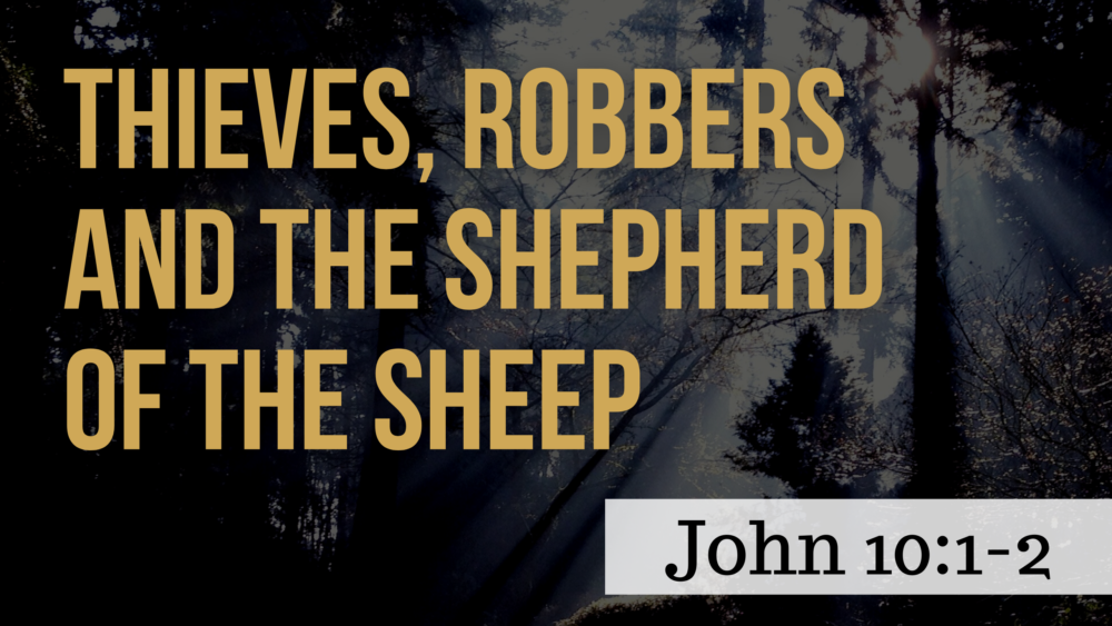 SERMON: Thieves, Robbers and the Shepherd of the Sheep