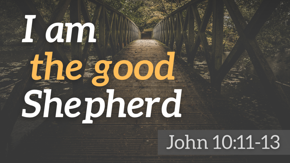 SERMON: I am the good Shepherd - Part I - John 10:11-13 Image