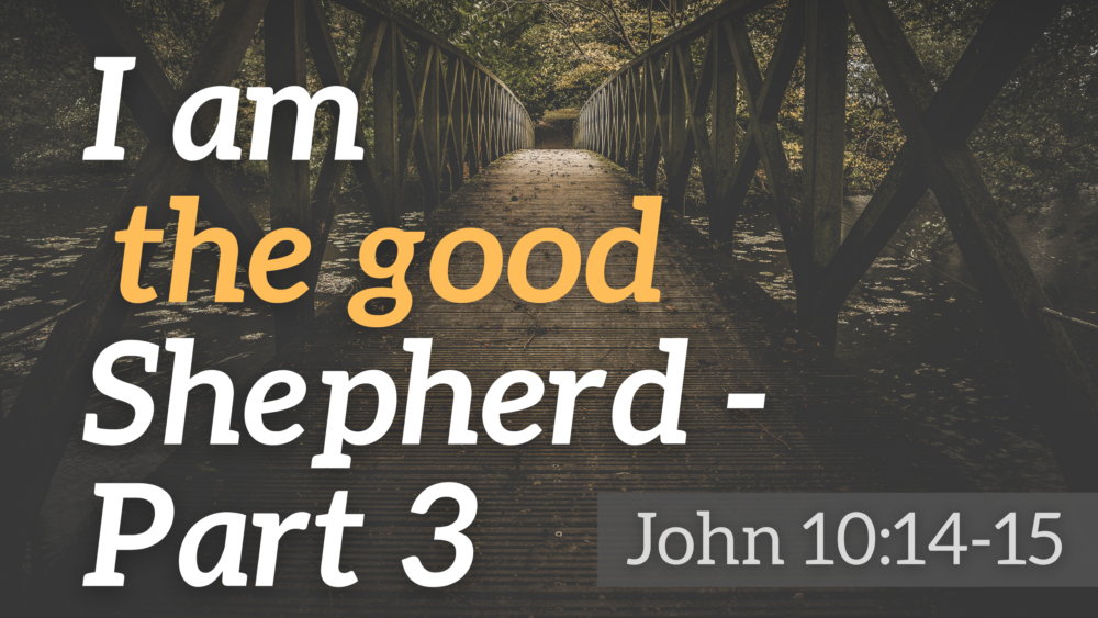 SERMON: I am the good Shepherd - Part III - John 10:14-15 Image