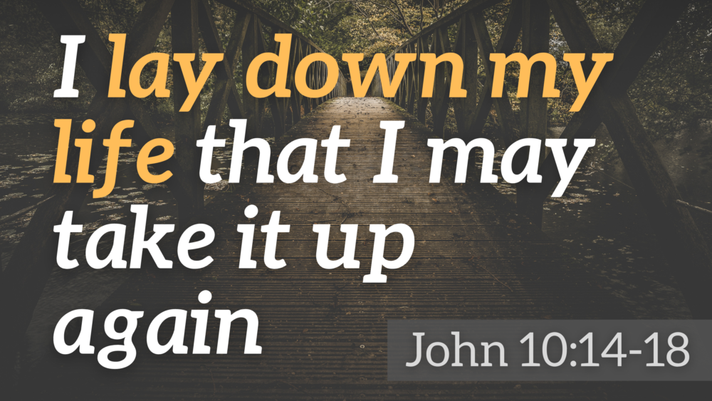 SERMON: I lay down my life that I may take it up again - John 10:14-18 Image